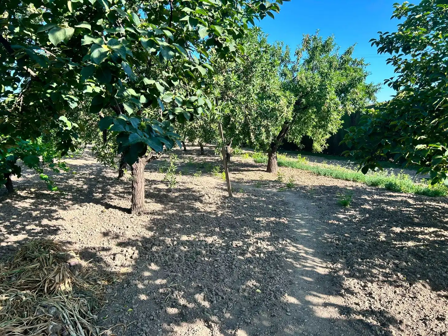 Terreni e lotti in vendita a Atarfe, imagen 8