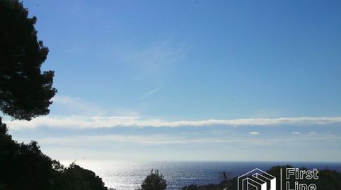 Gran terreno con vistas al mar, imatge 2