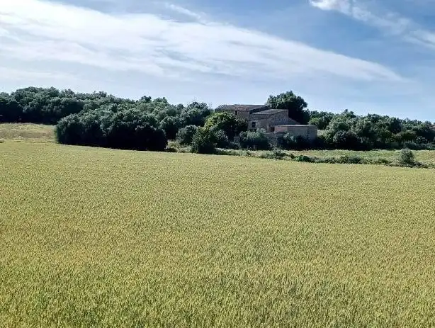 Rustikales Grundstück zum Verkauf in Manacor Centre, imagen 8
