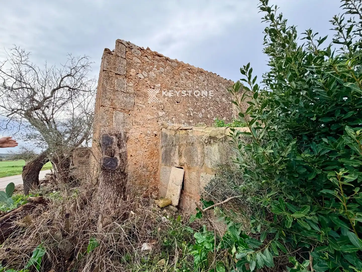Finca rústica en venta en Campos con Terraza