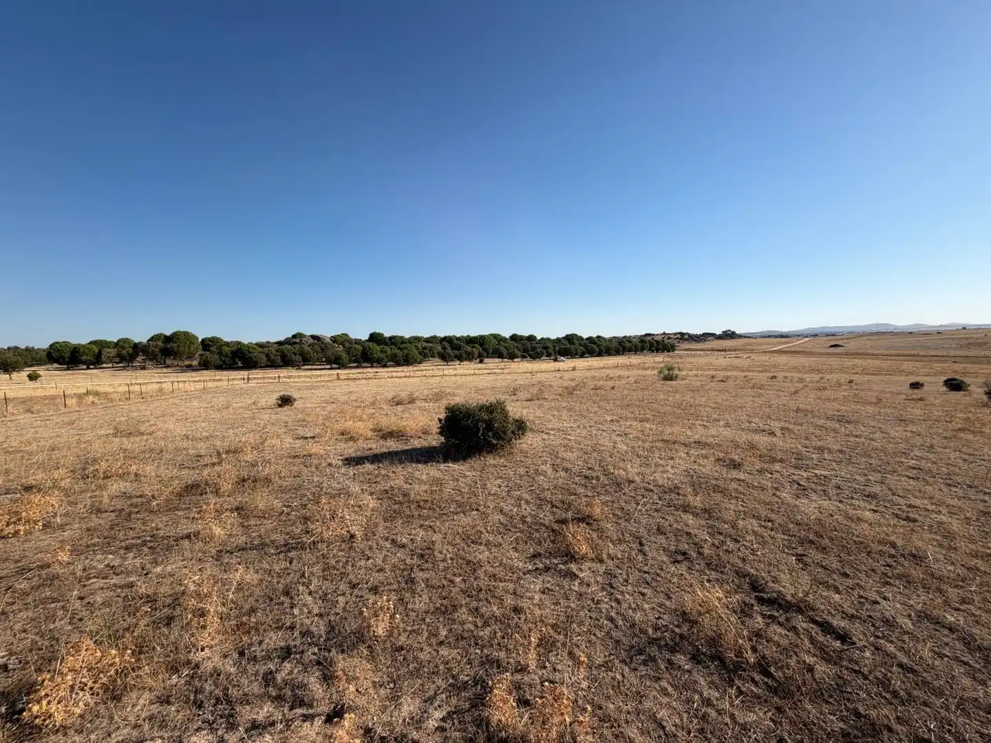 Terreno rustico in vendita a Malpartida de Cáceres, imagen 9