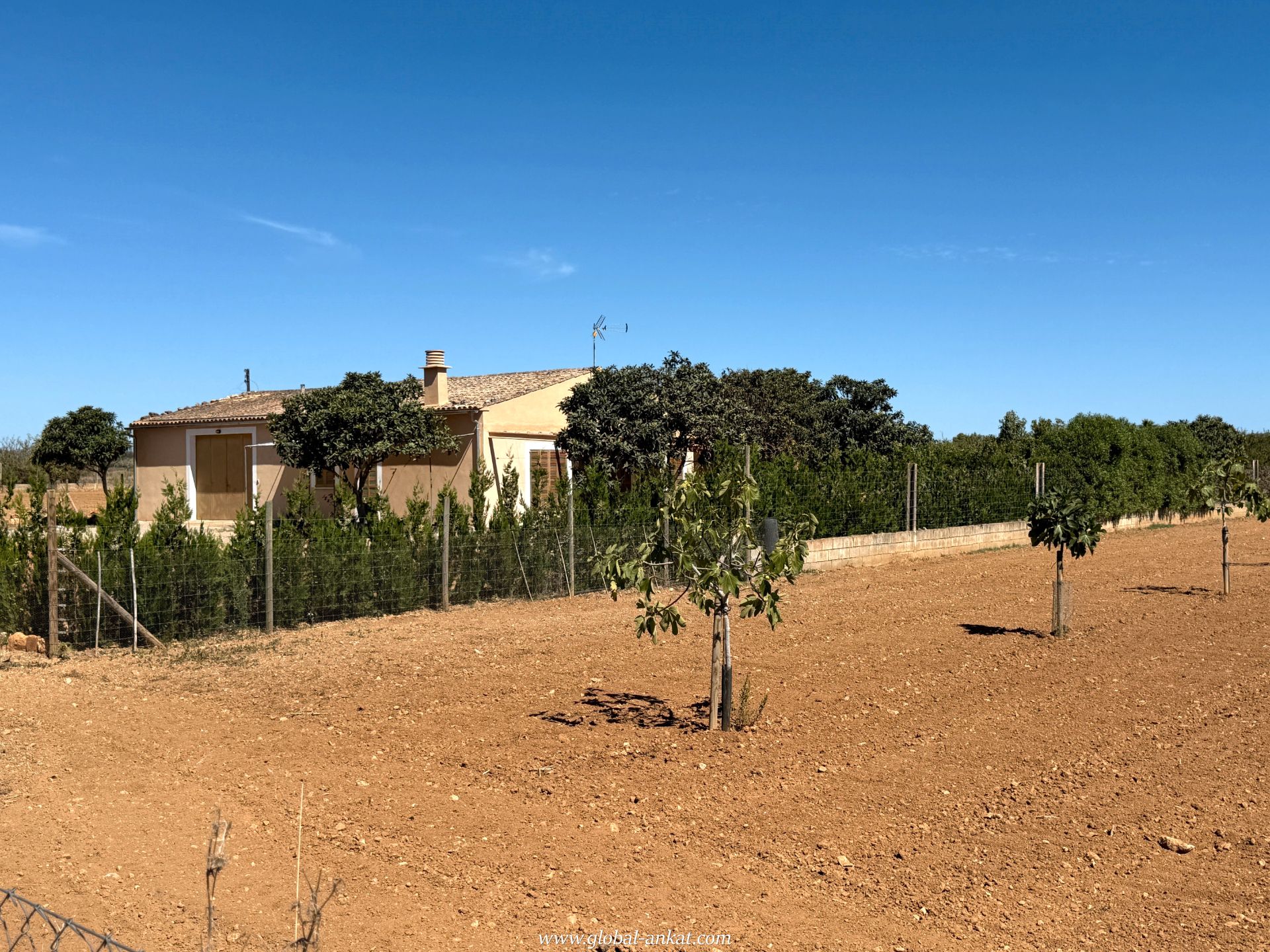 Finca rústica en venda en Porreres amb Terrassa i Traster