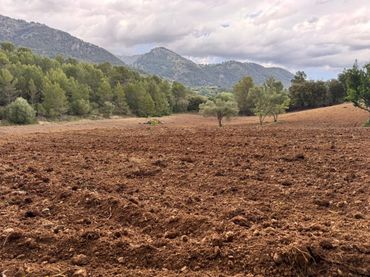 Terreny rústic en venda a Selva