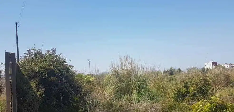 Residential land for sale in Sueca ciudad, imagen 4