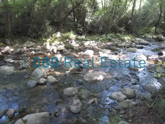 Exterior view of Buildings for sale in Sant Sadurní d'Osormort