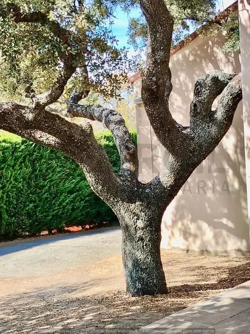 Vista exterior de Casa o xalet en venda en Navas de Riofrío amb Calefacció, Jardí privat i Traster