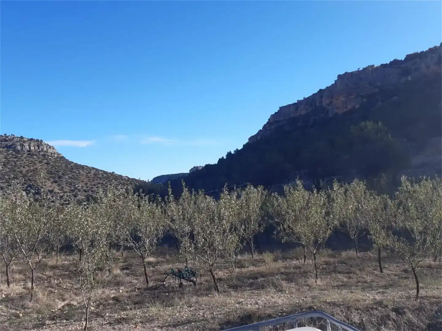 Terreno en venta en Algar de Mesa, Guadalajara