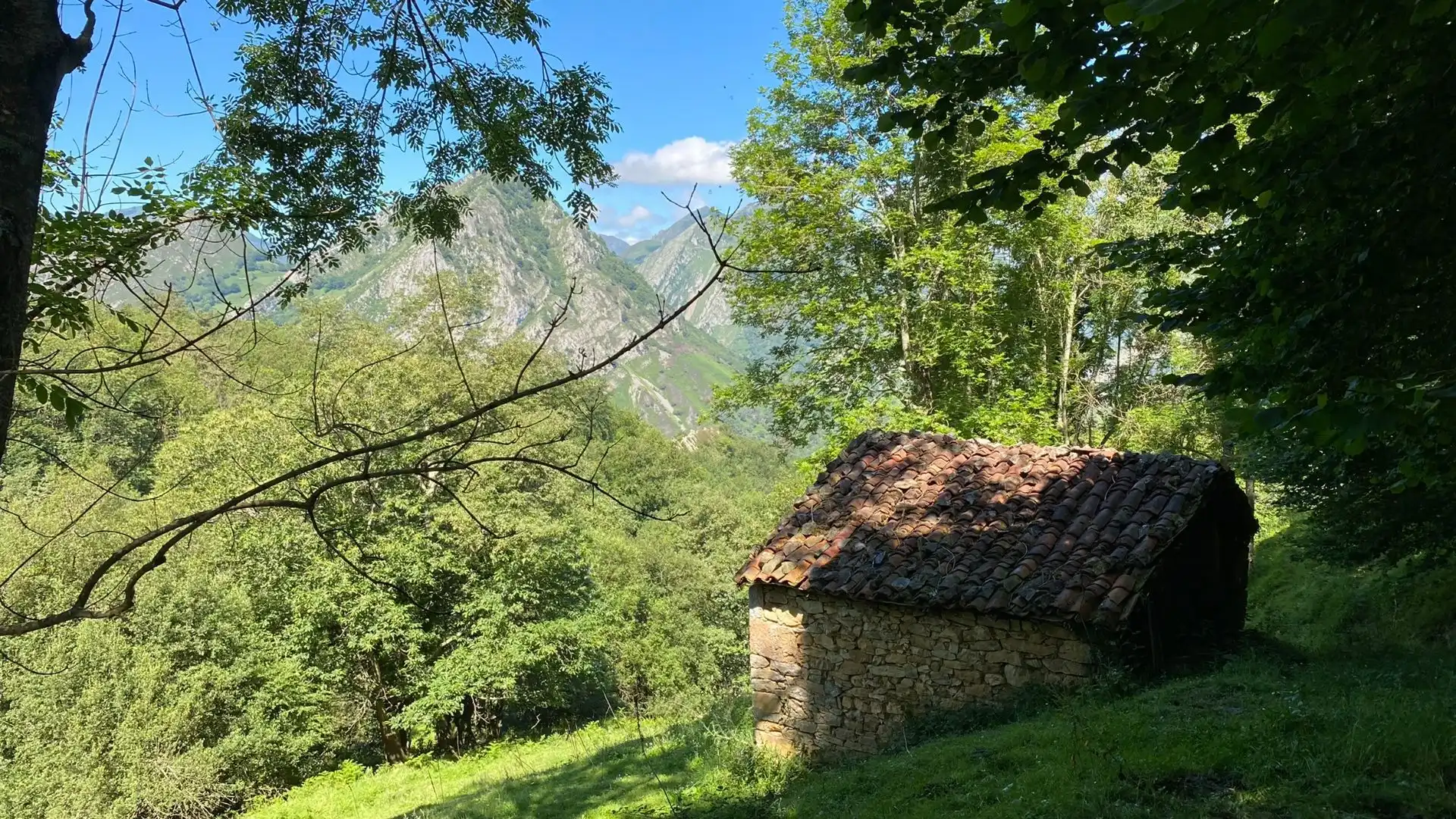Terreno en venta en PRIESCA, Ponga