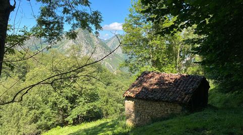 Photo 5 of Land for sale in Priesca, Ponga, Asturias