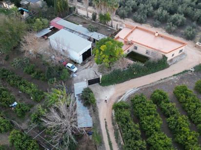 Vista exterior de Casa o xalet en venda en Turís amb Terrassa