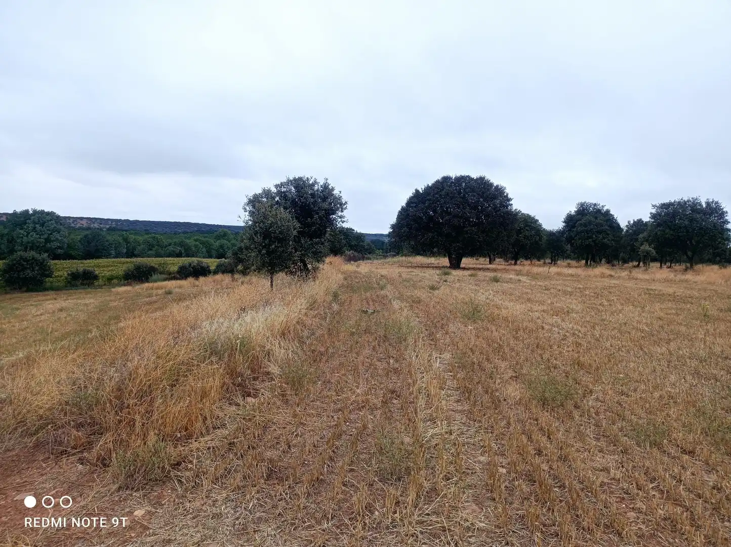 Terreno rústico en venta en Ronda de Serradilla 10, imagen 5