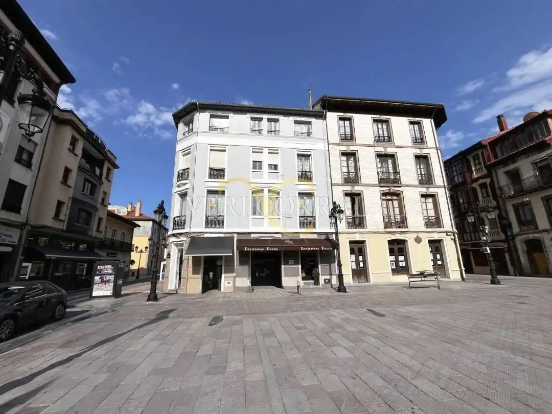 Wohnung mit Terrasse zum Verkauf in Calle Gran Vía de Agustín Argüelles, imagen 18