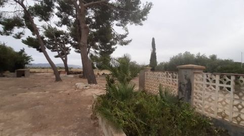 Finca rustica del 1920 reformada, immagine 4
