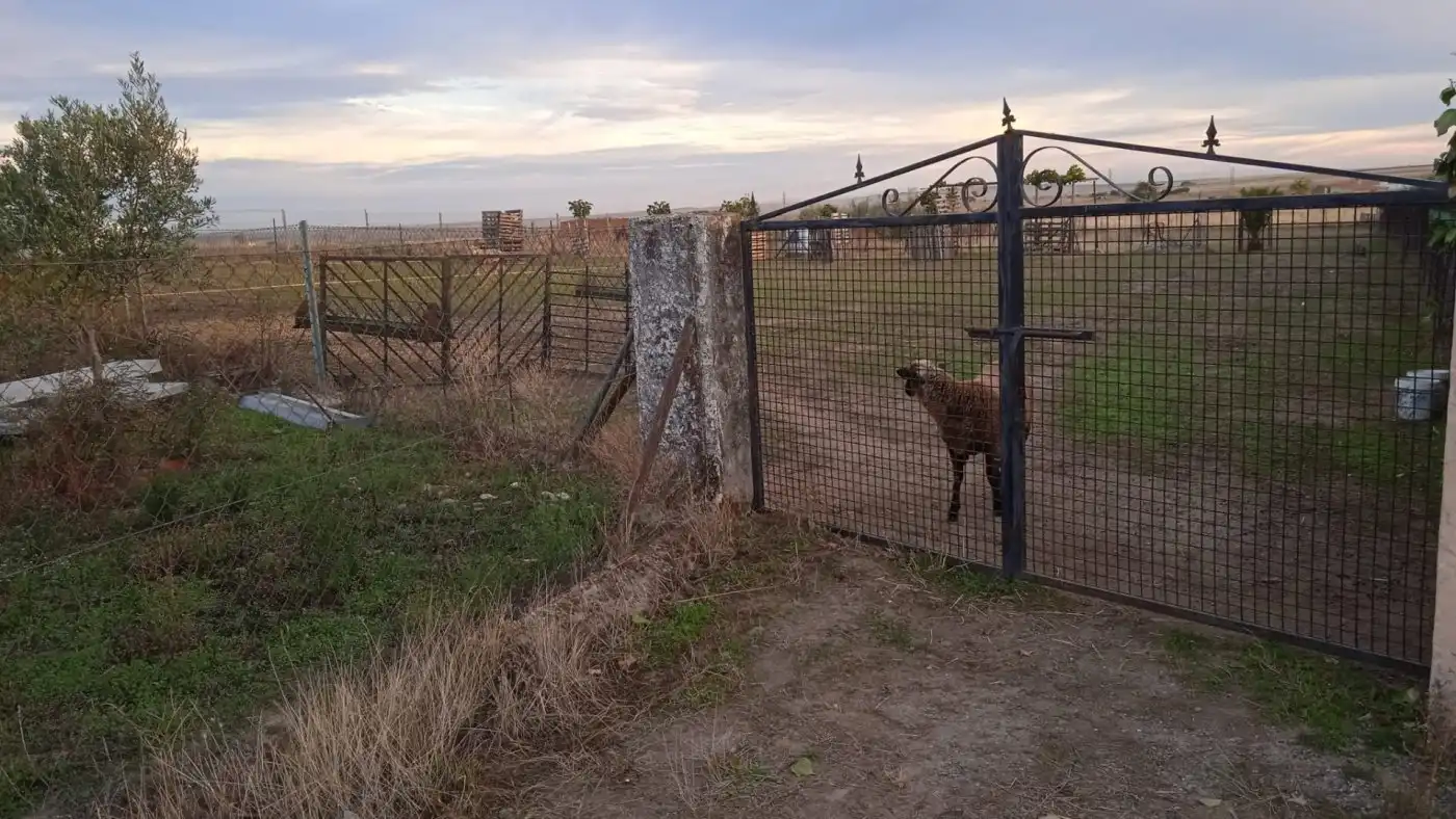 Terreni e lotti in vendita a Sierra de Fuentes, imagen 2