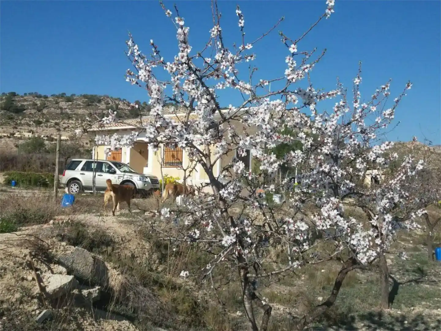Vista exterior de Pis en venda en Relleu amb Jardí privat i Moblat