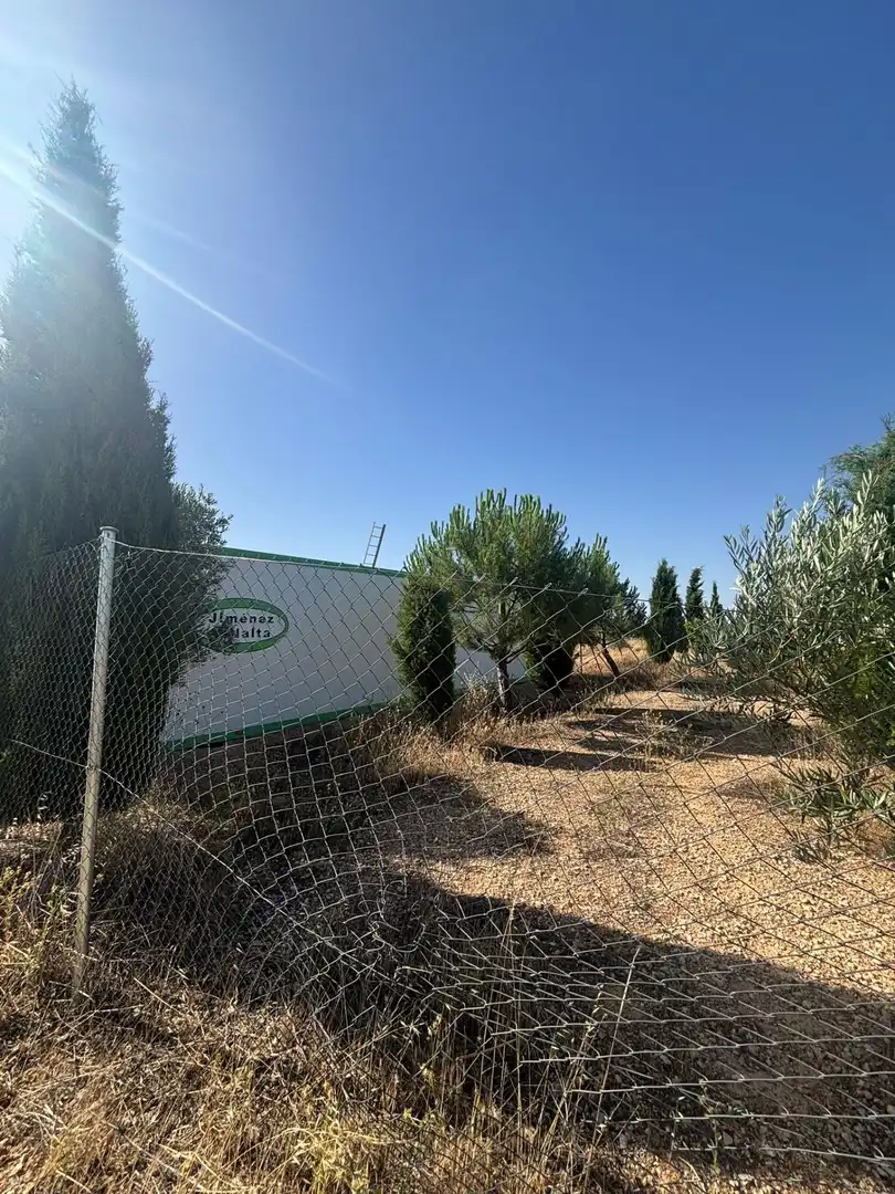 Rural land for sale in Valdepeñas, imagen 20
