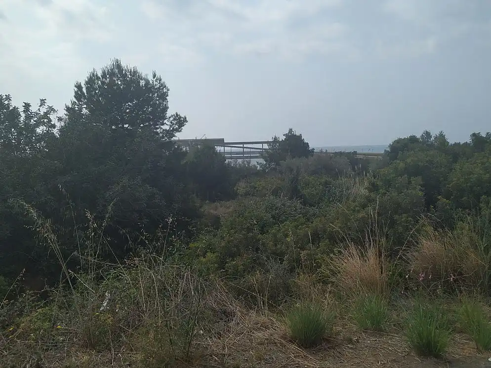 Land for sale in Alcanar