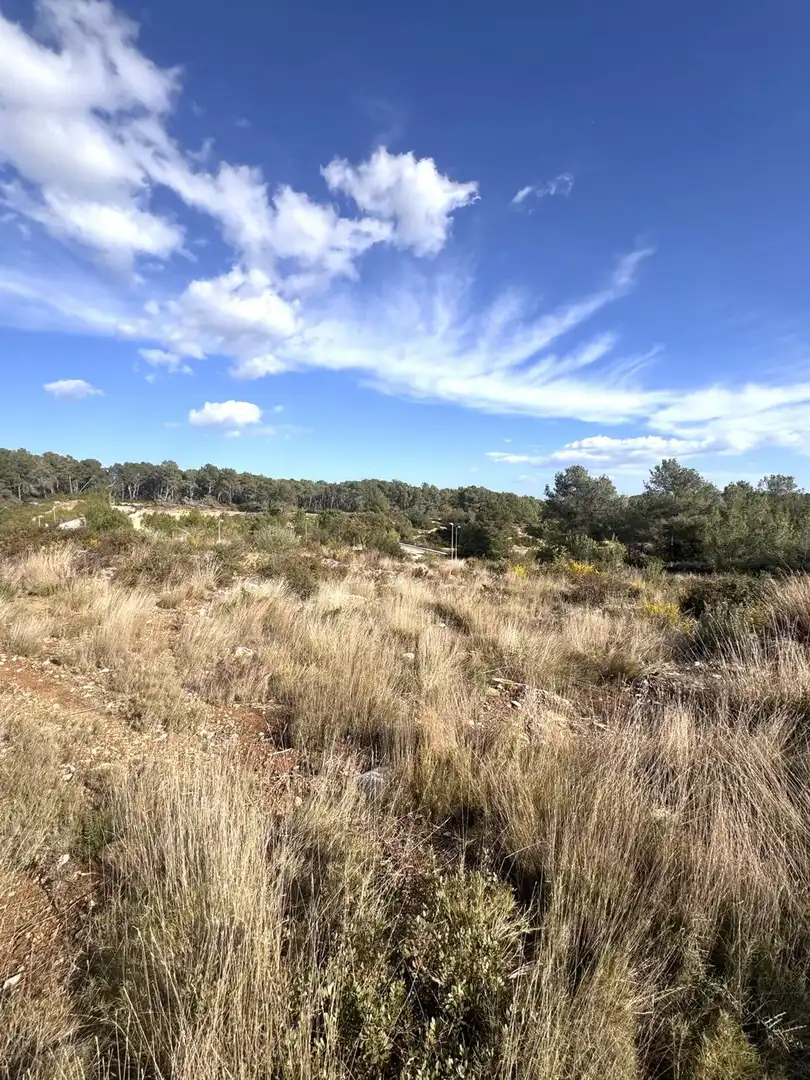 Terreno residencial en venta en El Catllar, imagen 21