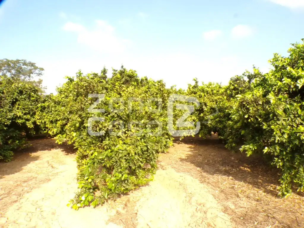 Country house for sale in Partida Marjaletes, imagen 2