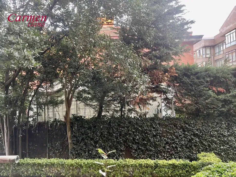 Vista exterior de Piso en venta en Getxo  con Calefacción y Trastero