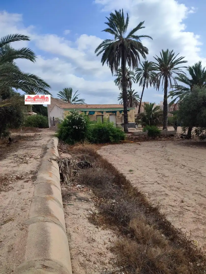 Exterior view of Country homes for sale in Elche / Elx