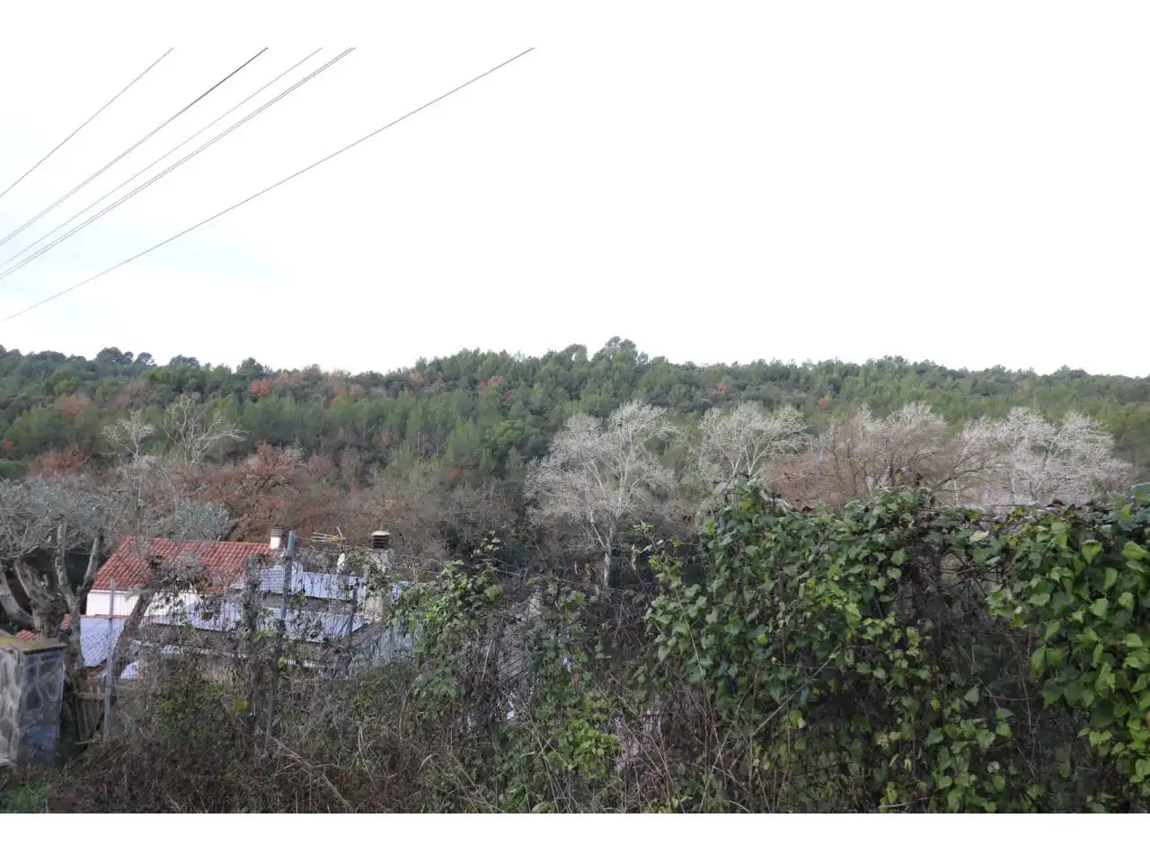 Land for sale in Sentmenat