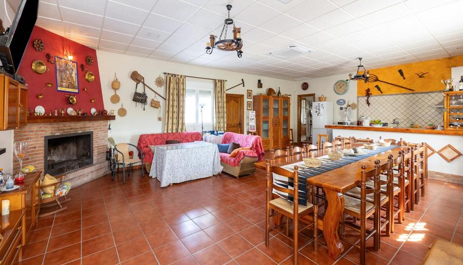 Photo 1 of House or chalet for sale in Darro, Granada