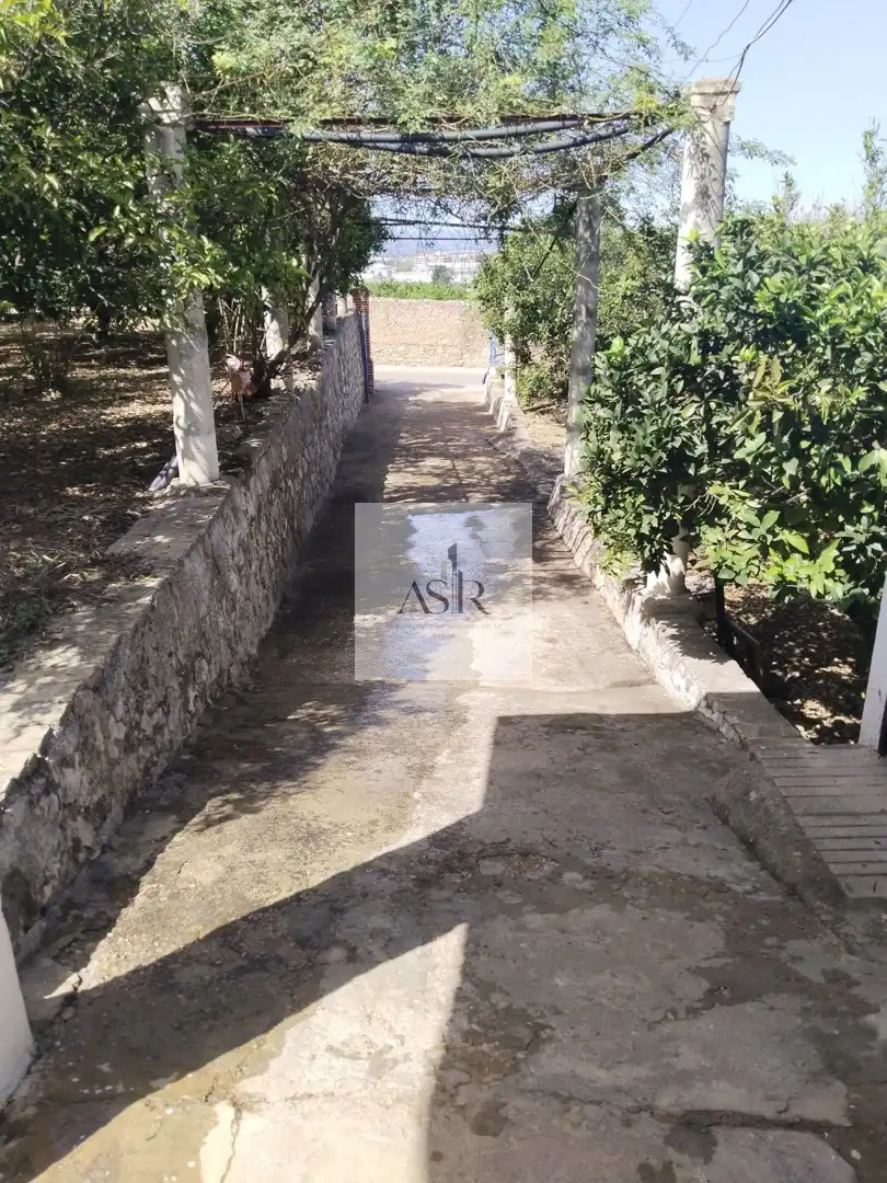Exterior view of Houses for sale in Alzira  with Terrace, Storage room and Swimming Pool
