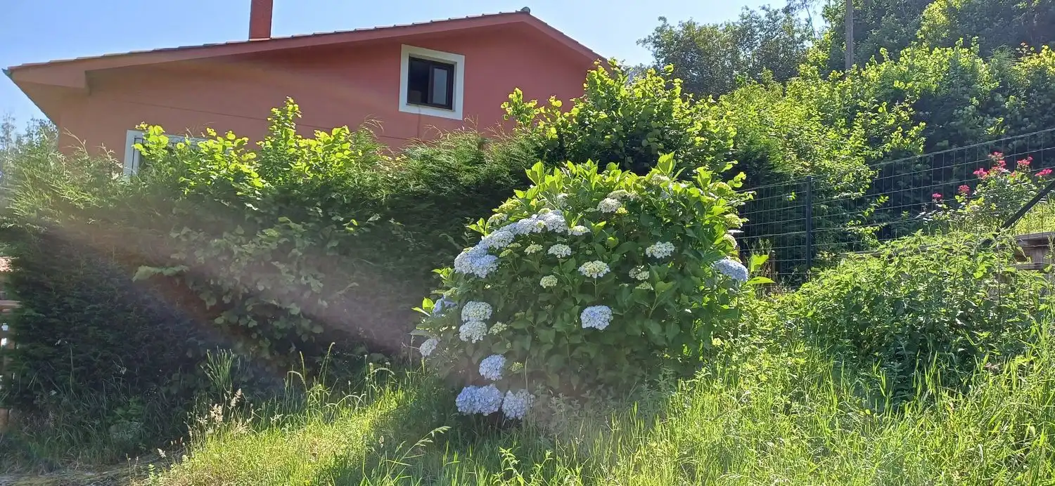 Casa o xalet en venda a Colunga