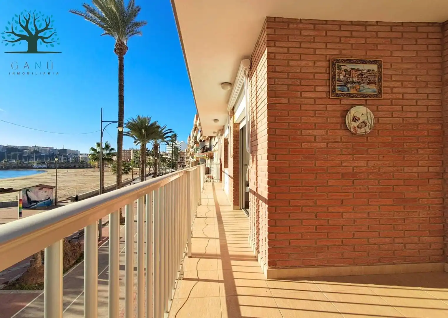 Appartement avec terrasse à vendre à Paseo MARITIMO FRANCISCO MARTINEZ MUÑOZ, imagen 4