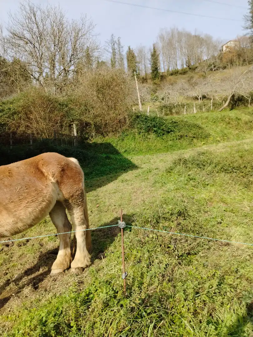 Casa rústica en venda a Tolosa, imagen 7