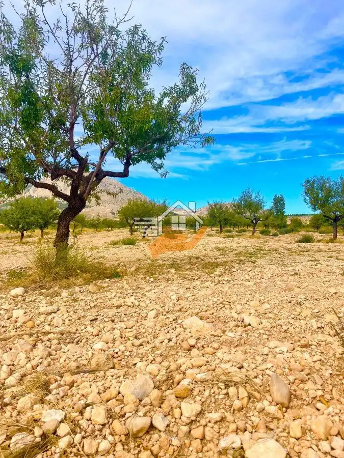 Casa rústica en venta en Vélez-Blanco, imagen 15