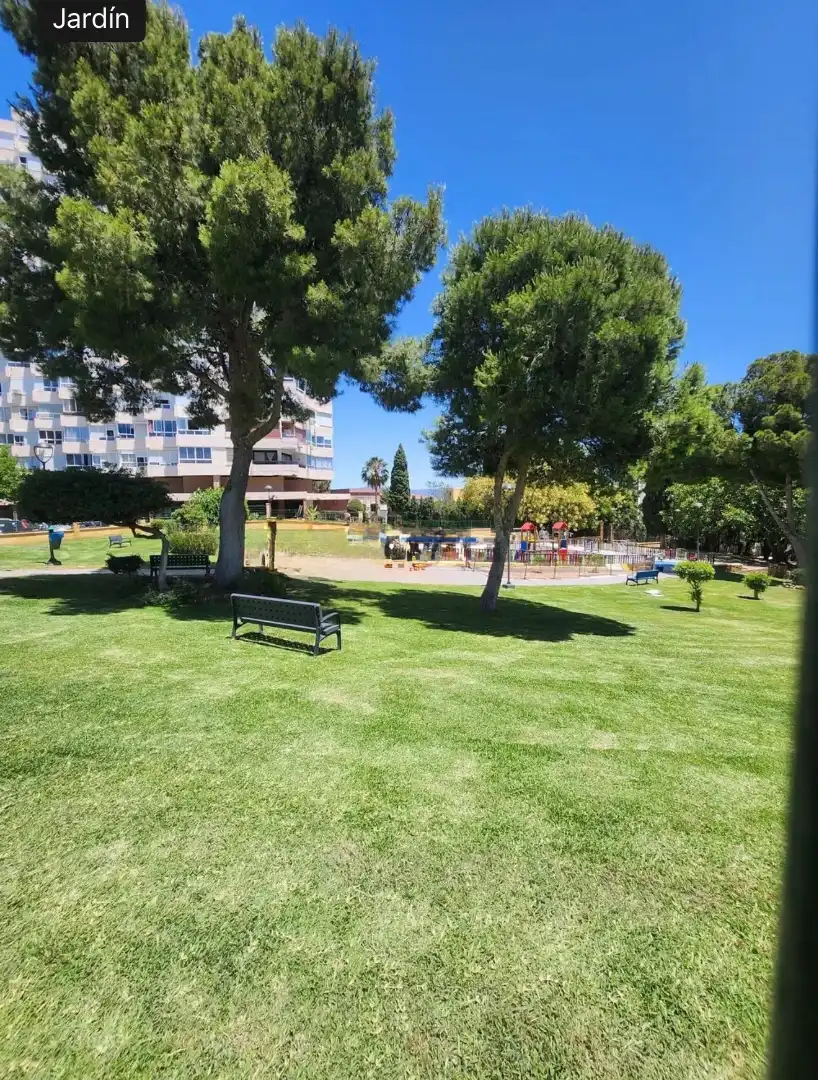 Estudi de lloguer a La Colina