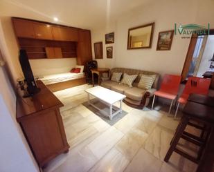 Sala d'estar de Apartament de lloguer en  Granada Capital amb Moblat, Rentadora i Microones