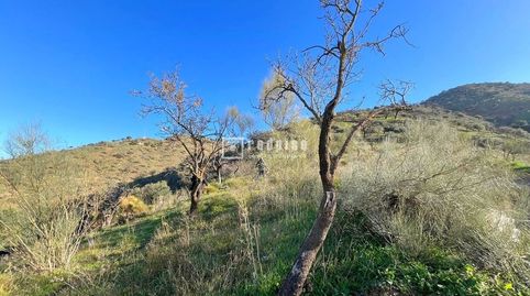 Foto 4 de Residencial en venda a Casabermeja, Residencial Jardín Botánico, Málaga Capital