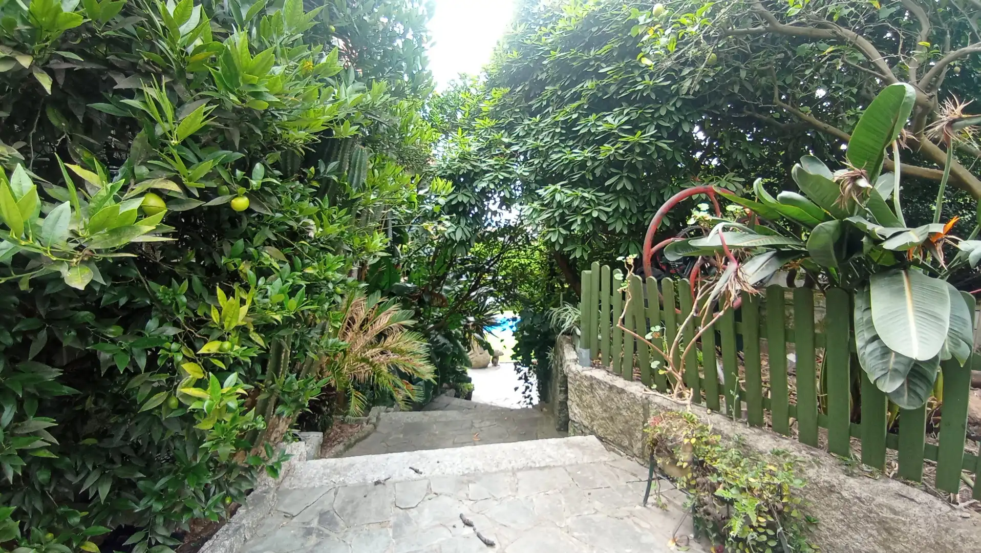 Jardín de Casa o chalet en venta en Pontevedra Capital  con Jardín privado, Terraza y Piscina