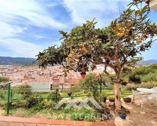 Exterior view of House or chalet for sale in Vélez-Málaga  with Terrace, TV and Internet