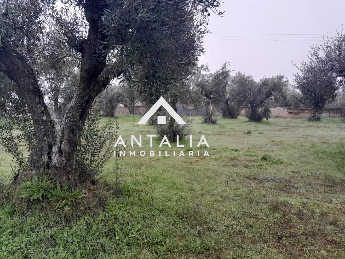 Terreni e lotti in vendita a Malpartida de Cáceres, imagen 10