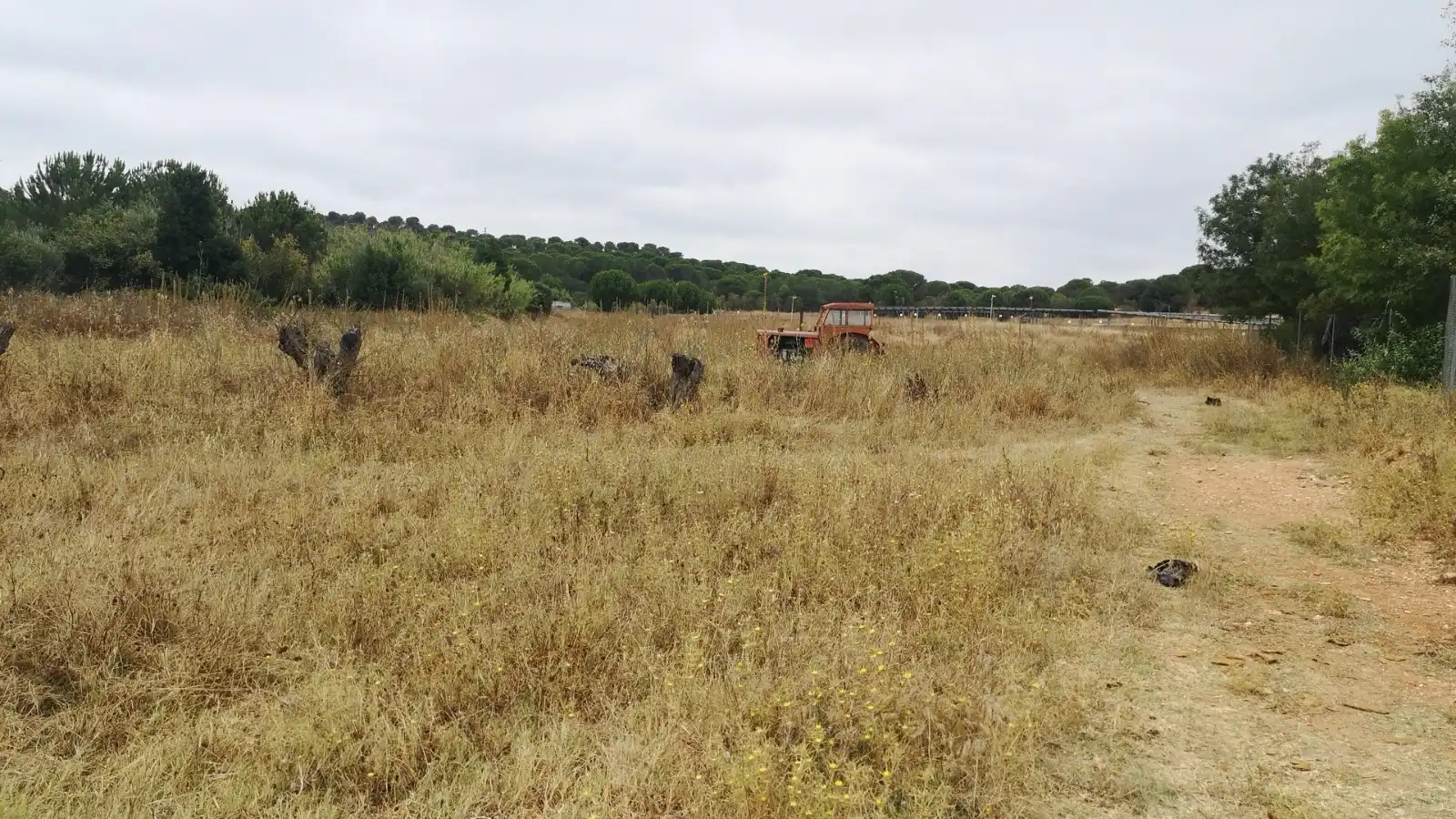 Terrenos y solares en venta en Núcleo urbano, imagen 3