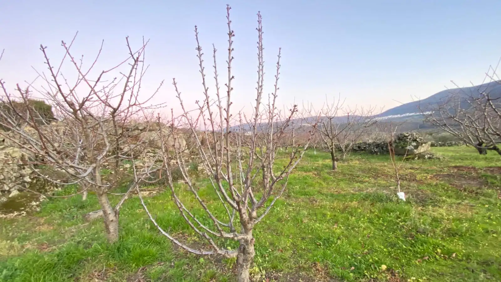 Terreni e lotti in vendita a El Torno, imagen 21