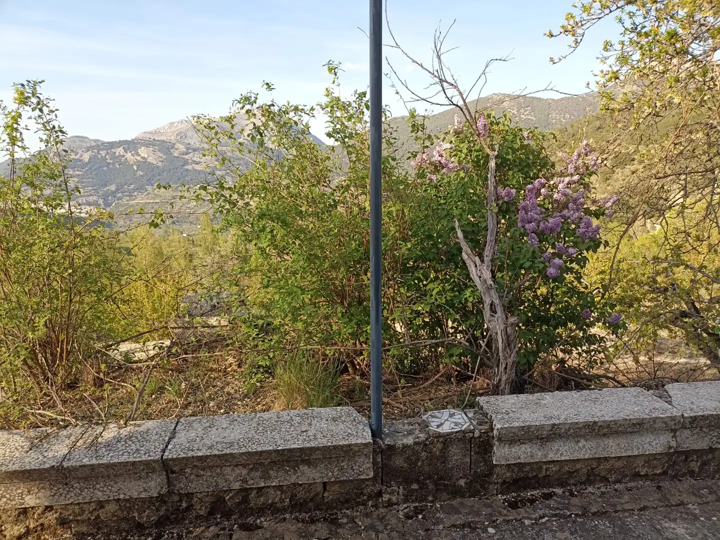 Land for sale in Torres