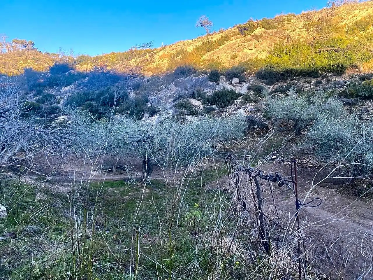 Terreno rustico in vendita a Perchels, imagen 15