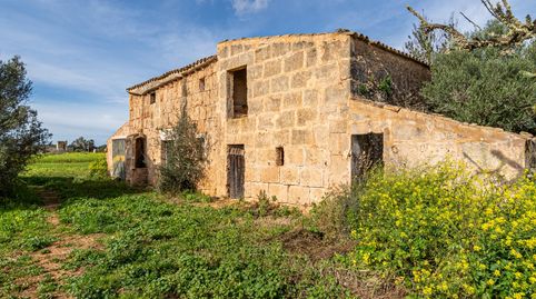 Terreno Rústico con Edificaciones a Restaurar en Campos, Mallorca, imatge 3