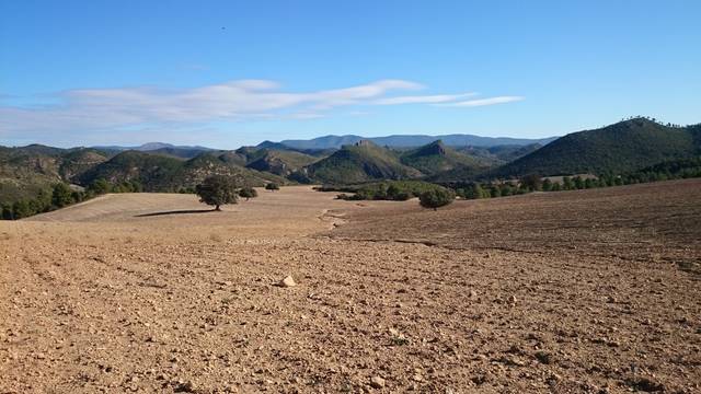 Terreno en Venta en N/A, -1 en Casco Histórico