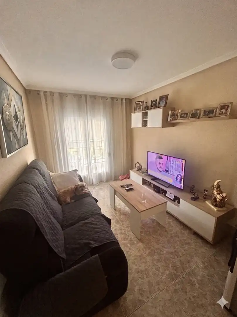 Sala d'estar de Pis en venda en Alicante / Alacant