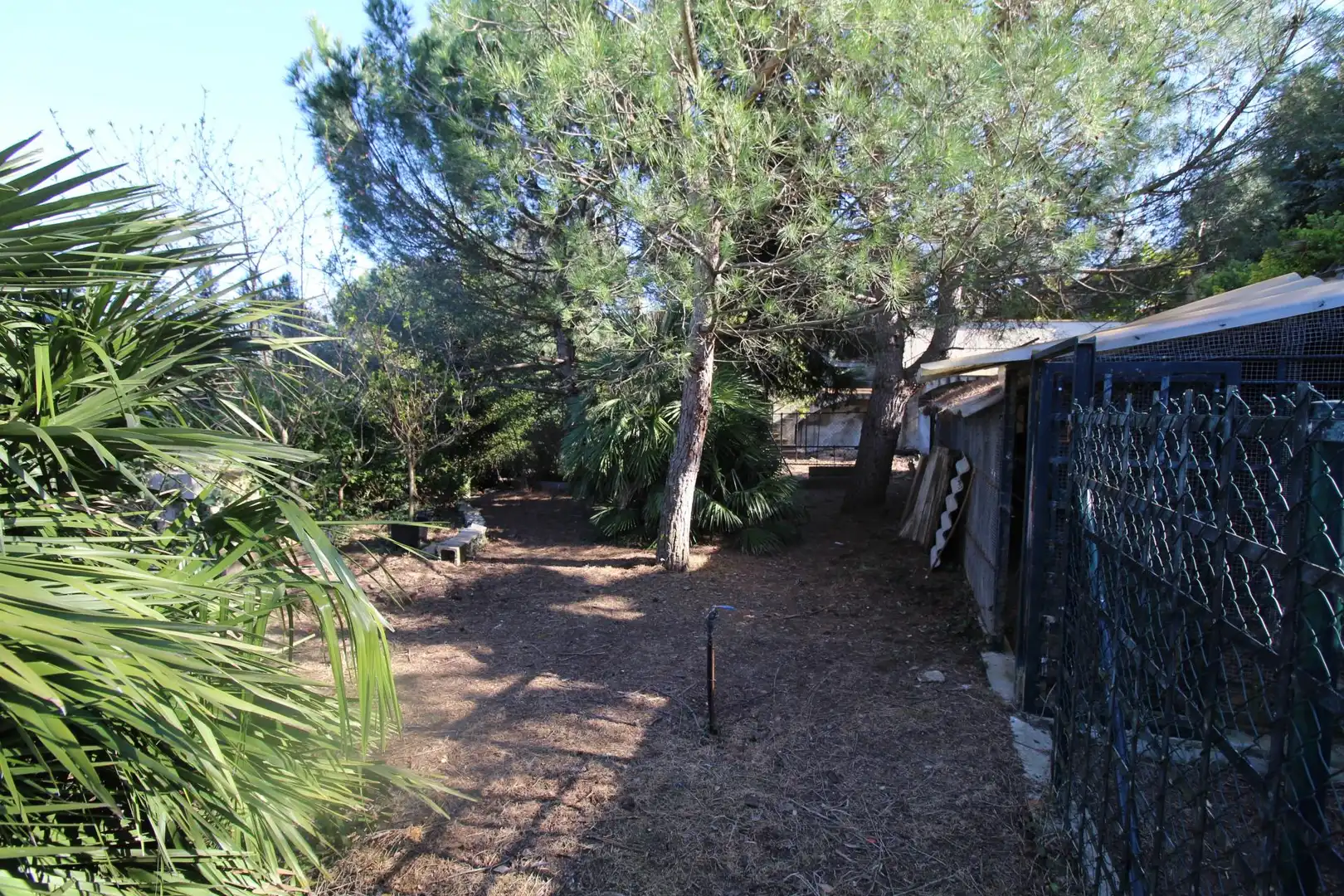 Residential land for sale in Arbúcies, imagen 7