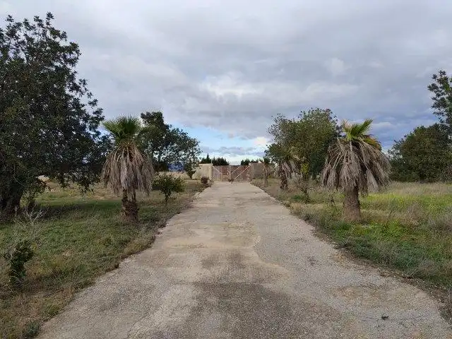 Finca rústica en venta en Cheste