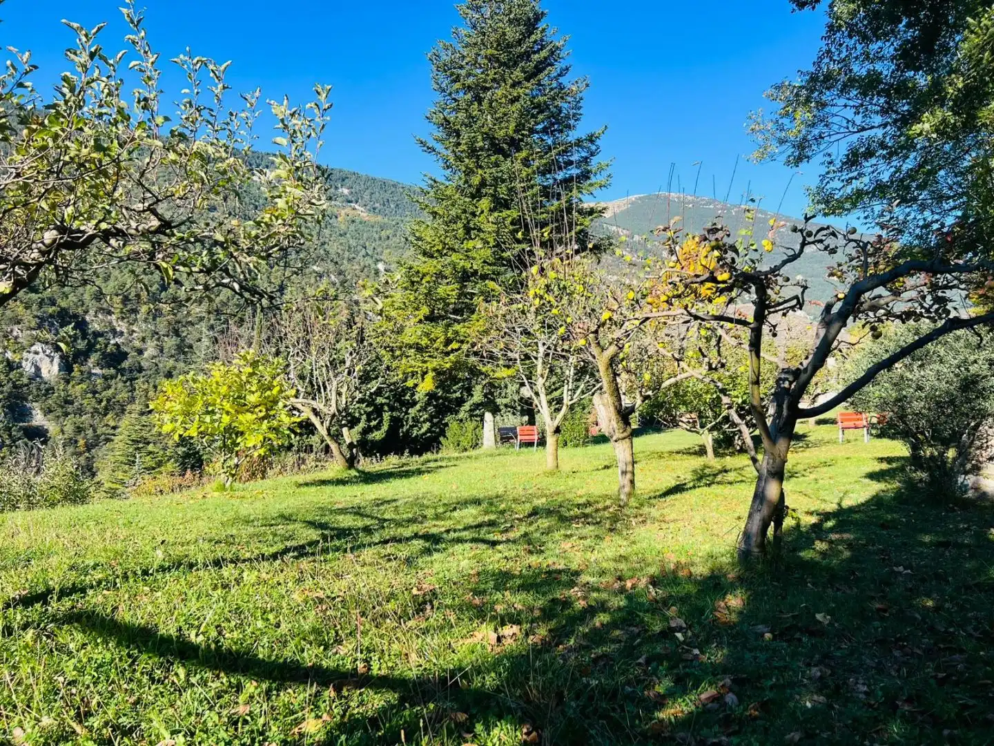 Haus mit Garten zum Verkauf in Camino de la Capellana 1, imagen 9