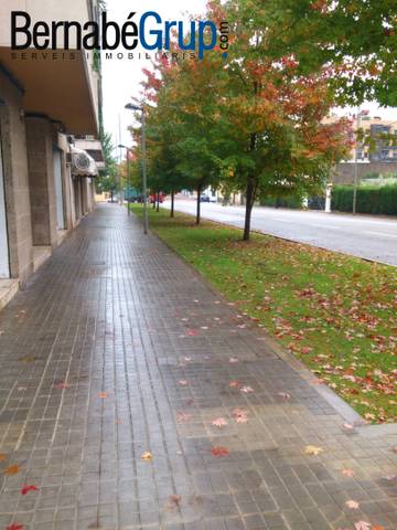 Local comercial en Alquiler en Carrer de Francesc Macià i Llussà, 263 en Can Bassa