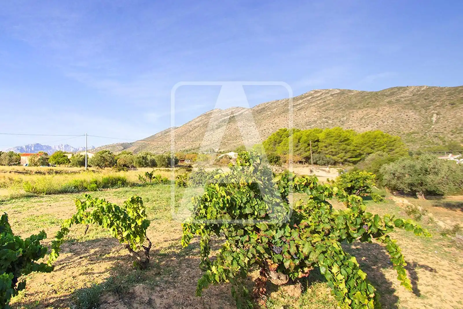 Terreny residencial en venda a Benissa pueblo, imagen 8
